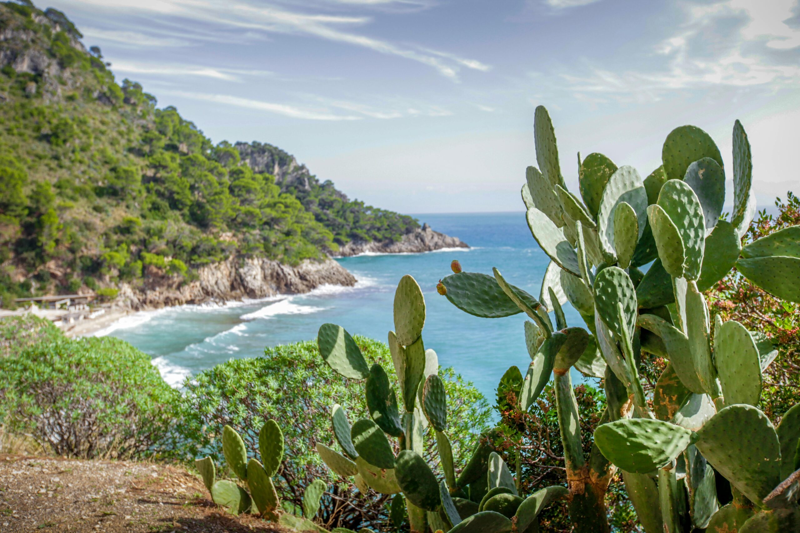 Breathtaking view of Sicily's coastline featuring lush greenery and prominent cacti.
